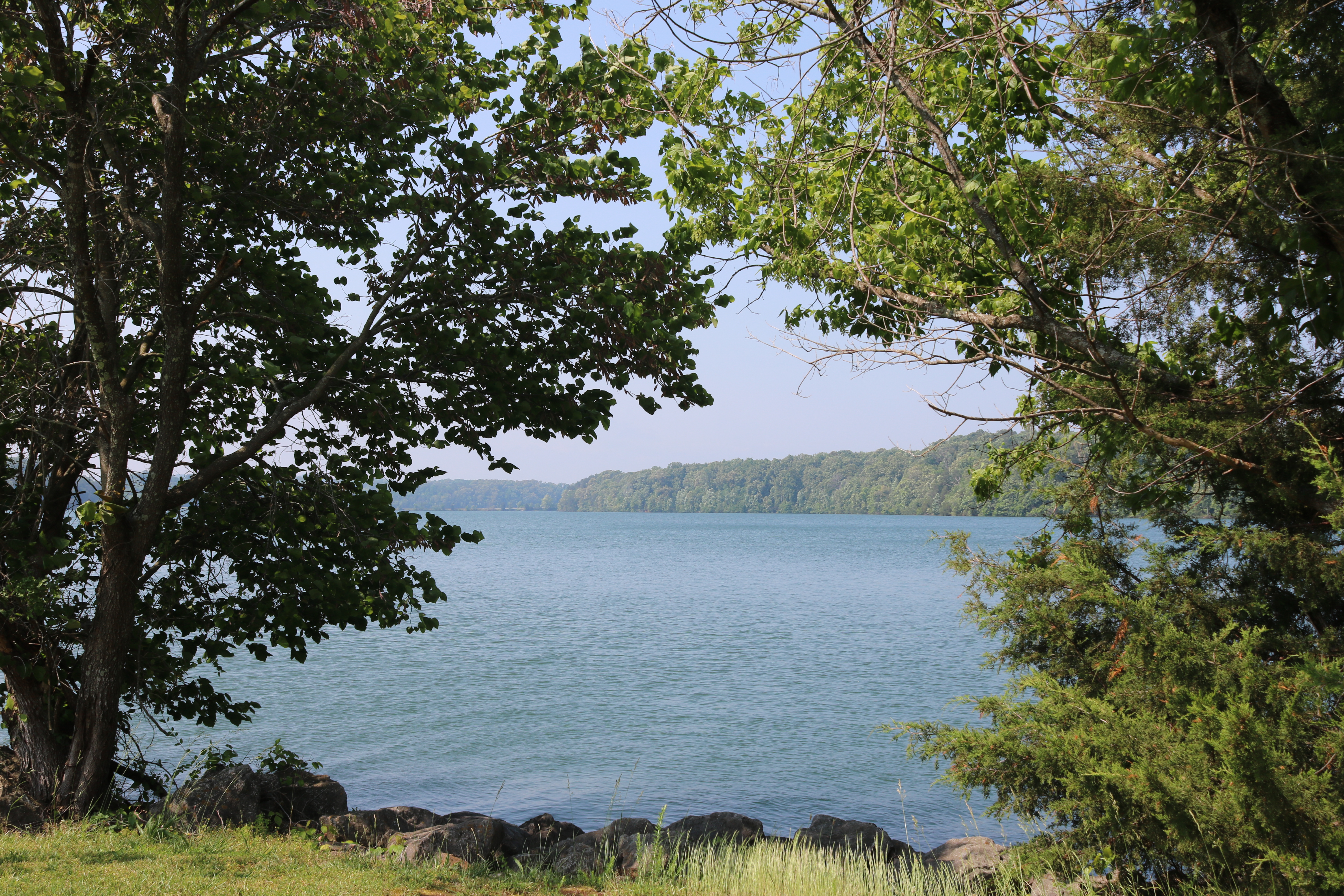 A view of the water from a tree-lined shore.